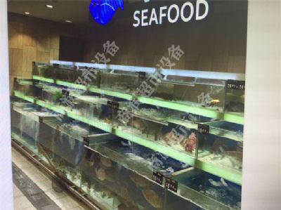 冰鮮魚池系列